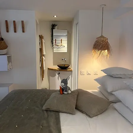 Le Refuge De L'ane Carotte Aubagne-cassis-aix En Provence * Aubagne